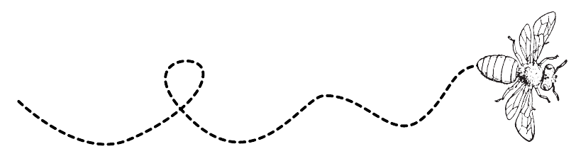 Hive & Thrive Honey Co.