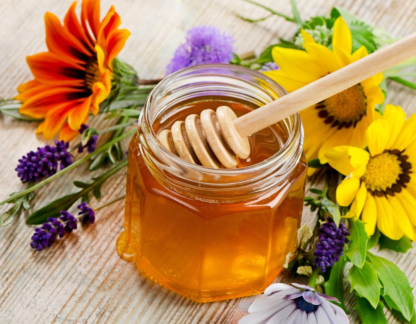 North Georgia Mountain Wildflower Honey – Hive & Thrive Honey Co.