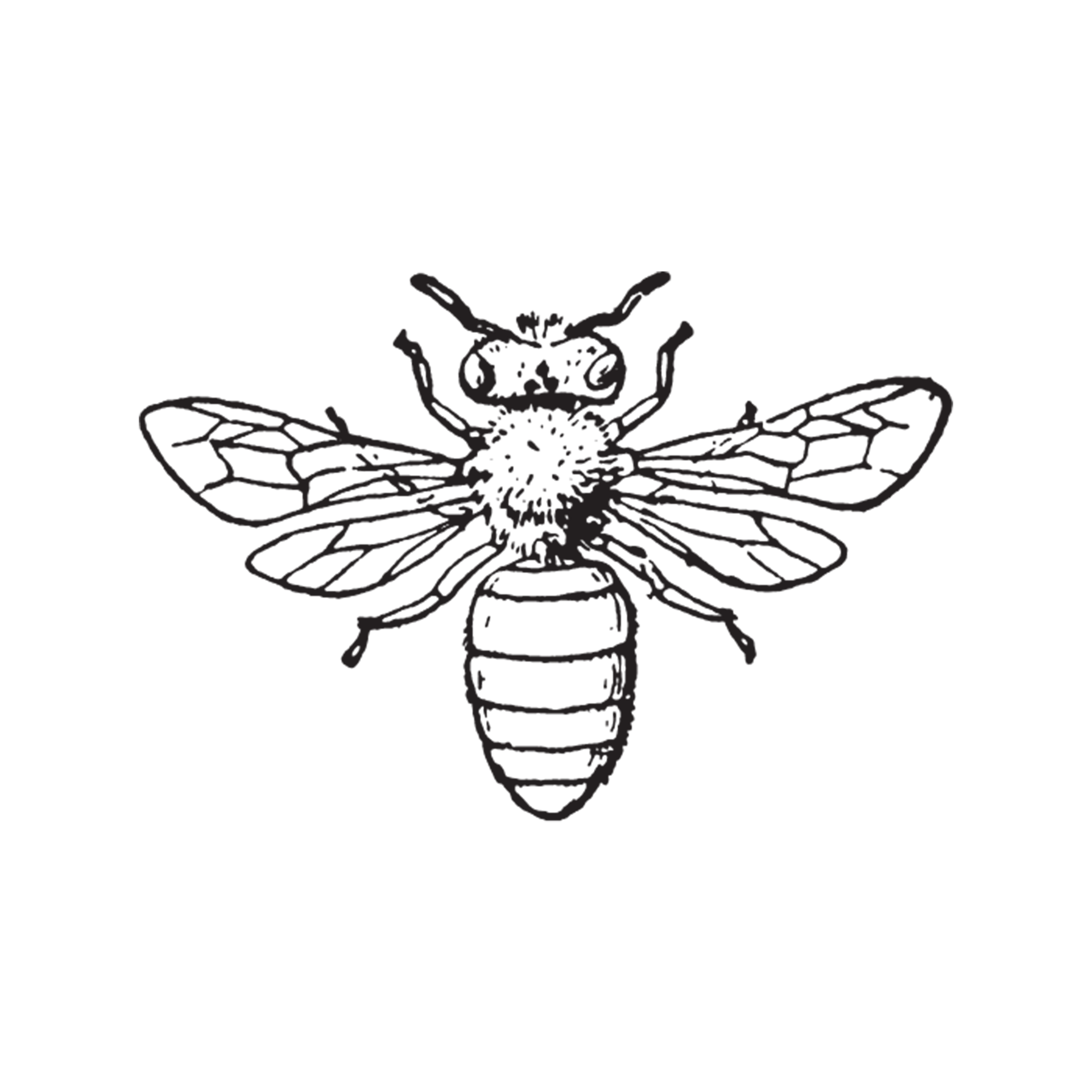 Hive & Thrive Honey Co.