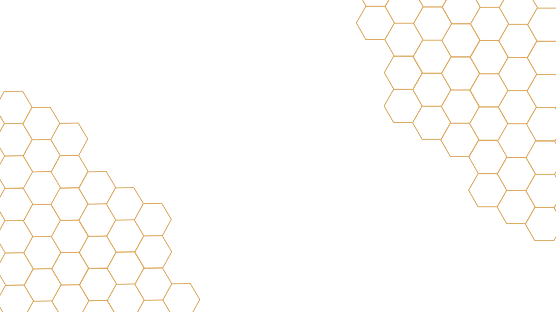 Hive & Thrive Honey Co.